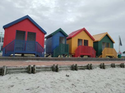 Seal Island, Cape of Good Hope& Penguins Private