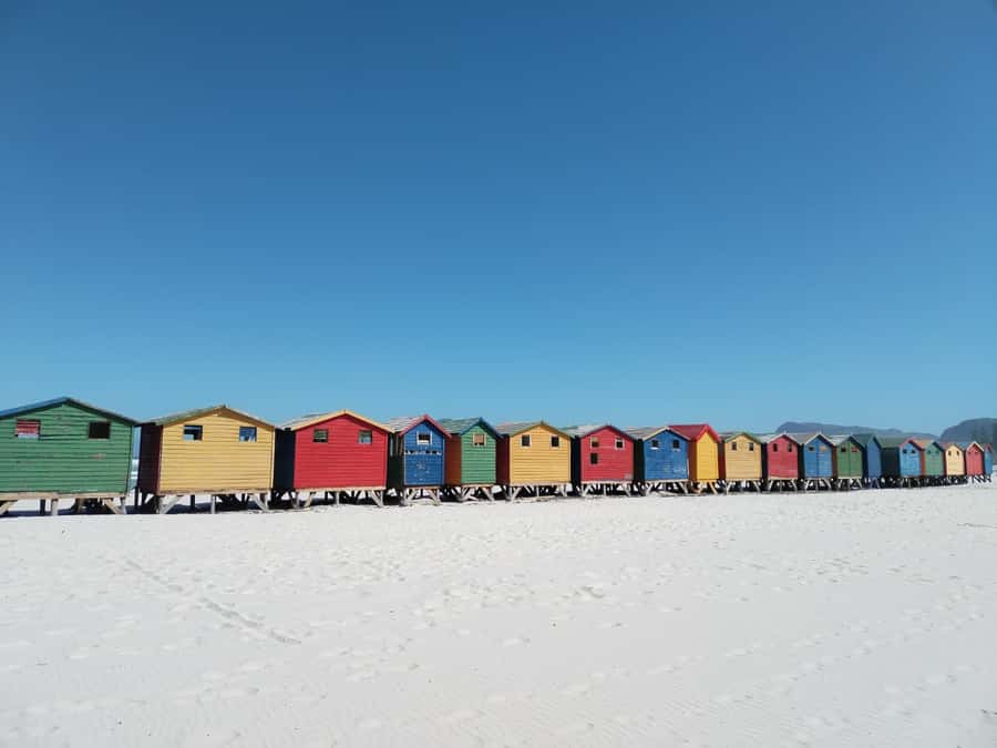 Cape Town: Seal Island, Cape of Good Hope& Penguins Private - Bo-Kaap and the final city stop