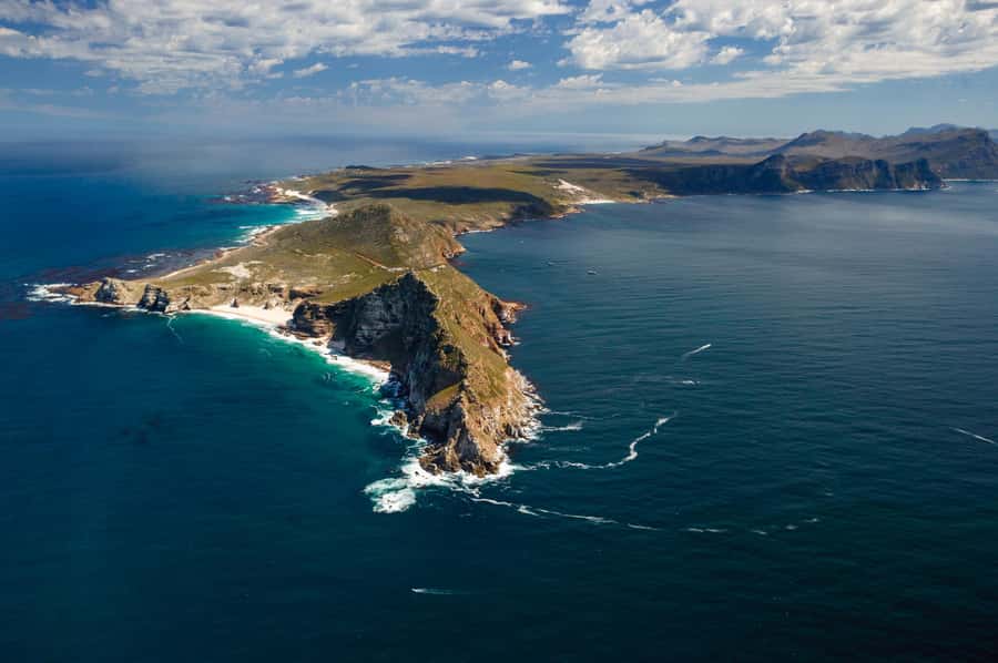 Cape Town: Shark Cage Dive - What the $274 price really covers