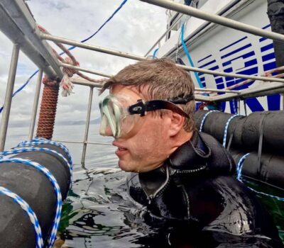 Shark Cage Diving with Snacks and Soft Drinks