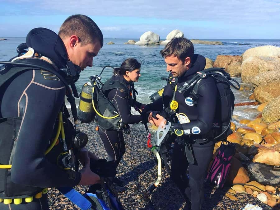 Cape Town: Shark Science SCUBA Diving Experience - Warm drinks, showers, and the return to shore