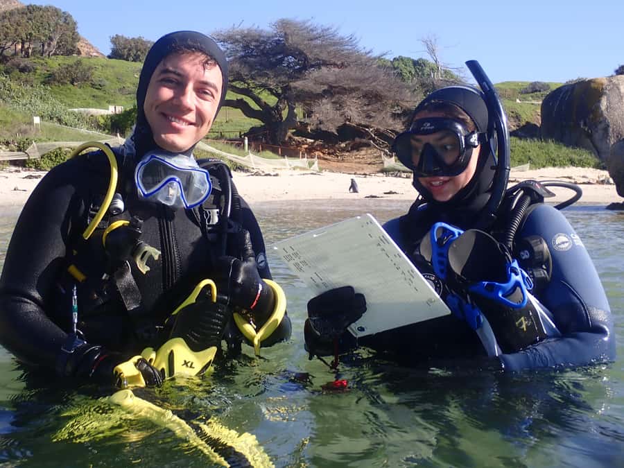 Cape Town: Shark Science SCUBA Diving Experience - Meeting at the False Bay Yacht Club