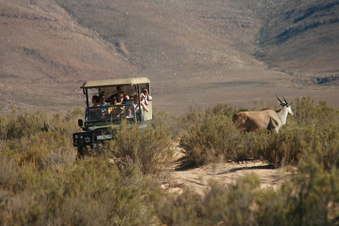 Cape Town Shore Excursion: Big Five Game Reserve from Cape Town - Arriving at Aquila Private Game Reserve