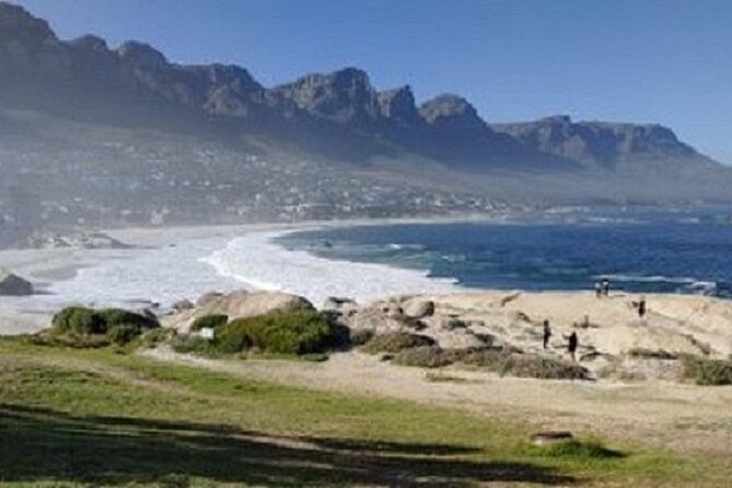Cape Town Shore Excursion: Private Small Group Cape Peninsula - The guide can shape the whole day