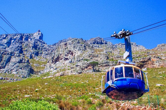 Cape Town Shore Tour: Table Mountain, Penguin & Cape Point - Bo-Kaap brings the city’s story into focus