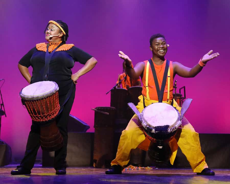 Cape Town: Silvermist Estate Wine Tasting & Drumstruck Show - A wine tasting with a view over Constantia