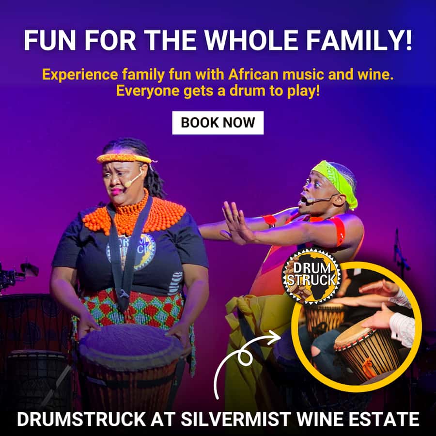 Cape Town: Silvermist Estate Wine Tasting & Drumstruck Show - What the optional South African braai adds