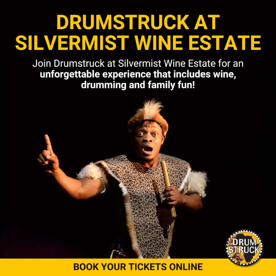 Cape Town: Silvermist Estate Wine Tasting & Drumstruck Show - Is $28 good value?