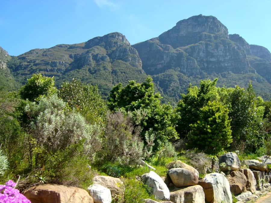 Cape Town: Skeleton Gorge and Kirstenbosch Gardens Hike - Key Points To Know