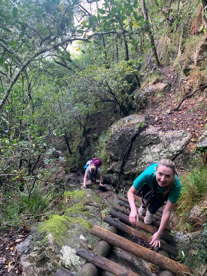 Cape Town: Skeleton Gorge and Kirstenbosch Gardens Hike - Why Skeleton Gorge Feels Different