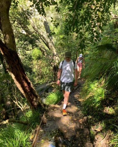 Skeleton Gorge and Kirstenbosch Gardens Hike