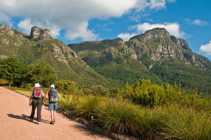 Cape Town: Skeleton Gorge and Kirstenbosch Gardens Hike - Ladders, Waterfalls, and Polished Rock