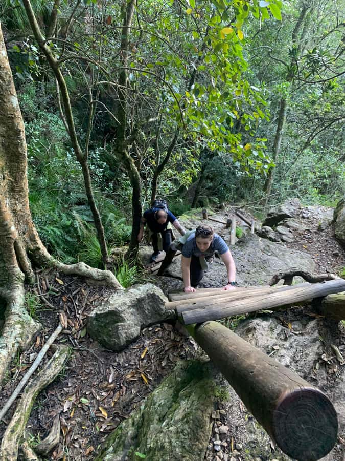 Cape Town: Skeleton Gorge and Kirstenbosch Gardens Hike - From the Gorge to Table Mountain’s Sandy Upper Slopes