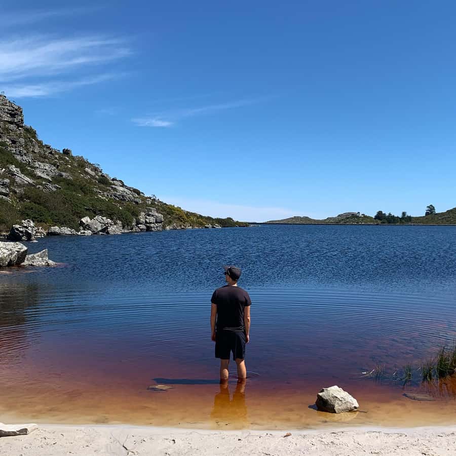 Cape Town: Skeleton Gorge and Kirstenbosch Gardens Hike - What the Guide Adds to the Walk