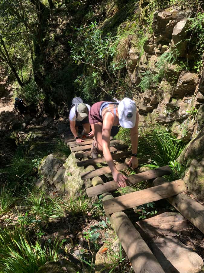Cape Town: Skeleton Gorge and Kirstenbosch Gardens Hike - Timing, Weather, and What to Pack
