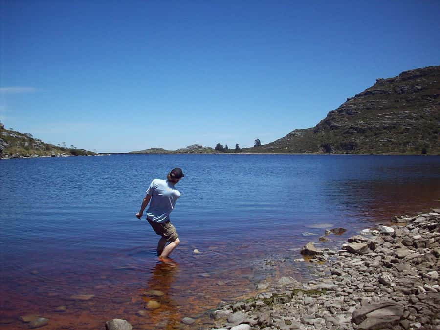 Cape Town: Skeleton Gorge and Kirstenbosch Gardens Hike - Who Should Book This Hike?