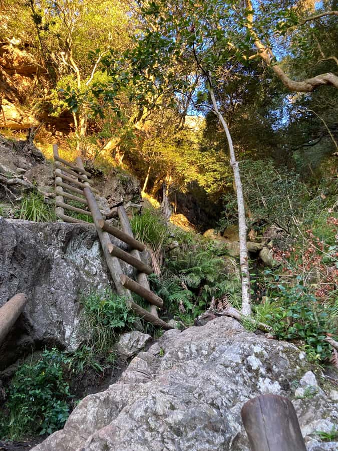 Cape Town: Skeleton Gorge Hike to Table Mountain Summit - Descending and the cable car decision