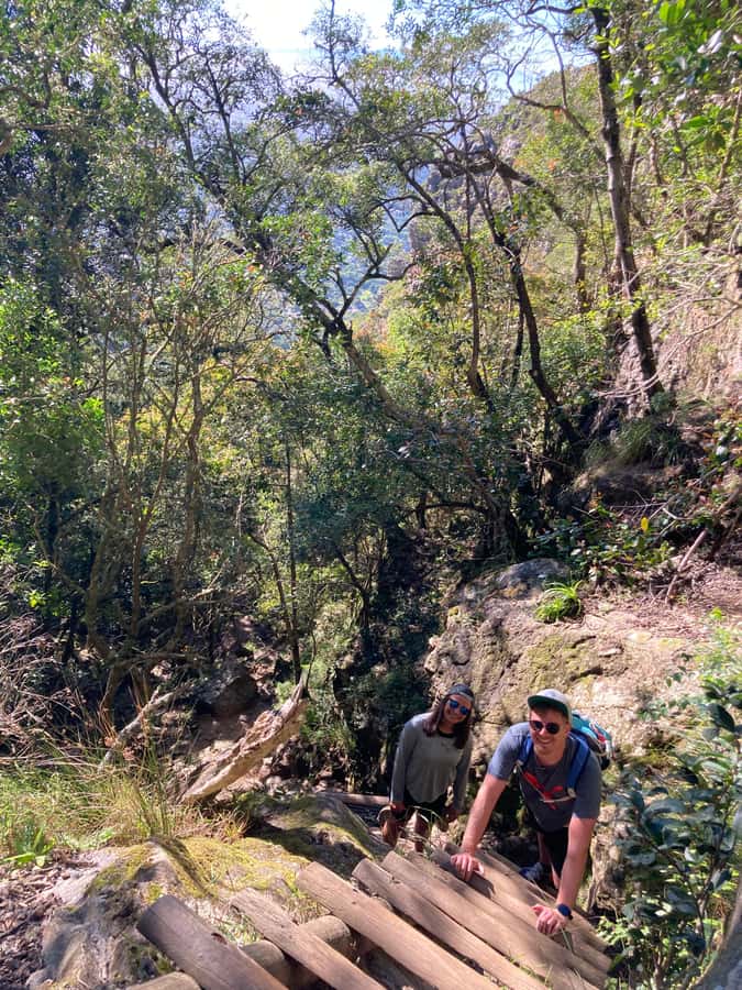 Cape Town: Skeleton Gorge Hike to Table Mountain Summit - Who will enjoy this hike most?