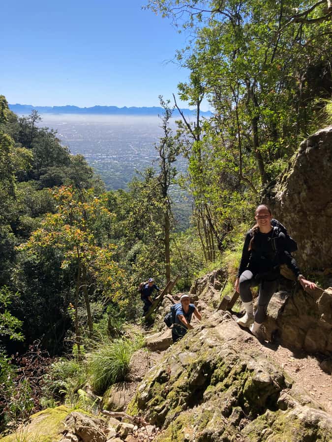 Cape Town: Skeleton Gorge Hike to Table Mountain Summit - Climbing Skeleton Gorge through forest