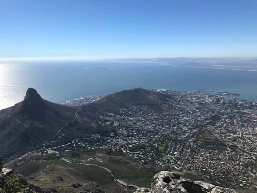 Cape Town: Some Attractions of the Cape (private & exclusiv) - Cape Fynbos adds meaning to the scenery