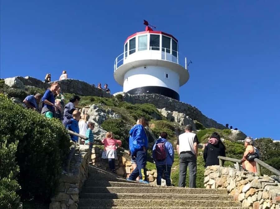 Cape Town: Some Attractions of the Cape (private & exclusiv) - Chapman’s Peak adds a scenic road section