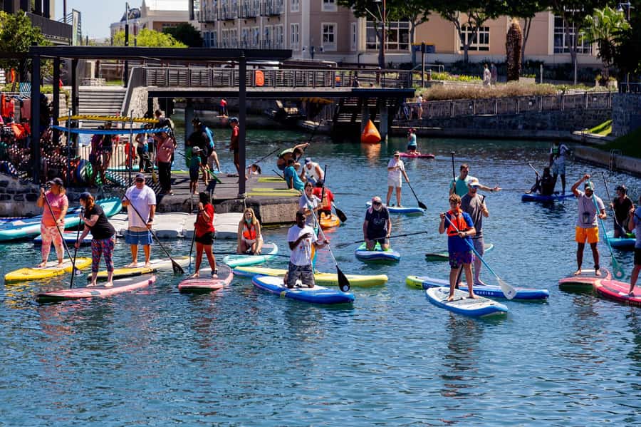 Cape Town: Stand-Up Paddle Board Rental with Basic Training - Key points to know before you paddle