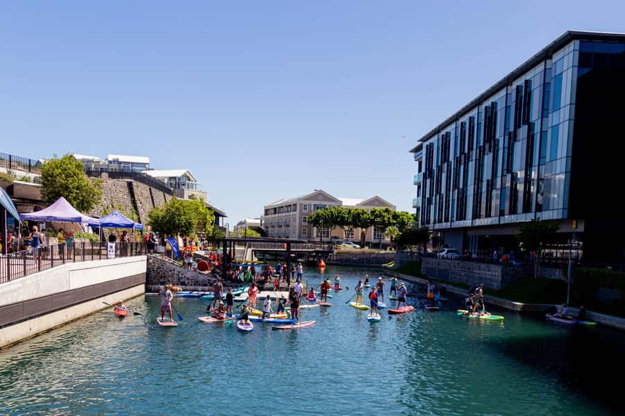 Cape Town: Stand-Up Paddle Board Rental with Basic Training - What happens during the basic training?