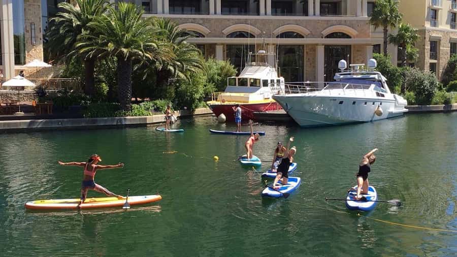 Cape Town: Stand-up Paddleboard Experience - Learning to Stand Without Overthinking It