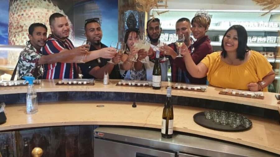 Cape Town: Stellenbosch, Franschhoek and Paarl Wine Day Trip - Key things to know before you book