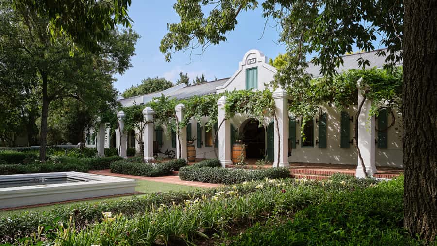 Cape Town: Stellenbosch, Franschhoek and Paarl Wine Day Trip - Lunch with wine and vegetarian choices