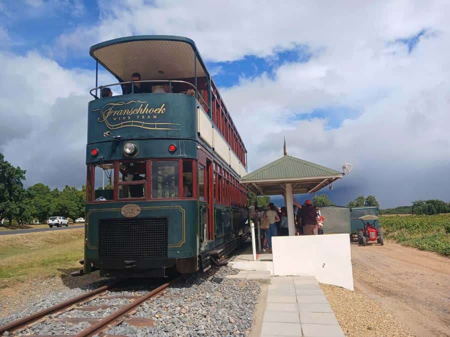 Cape Town: Stellenbosch, Franschhoek, Wine Tasting and Tram - Marianne brings biltong and a South African touch