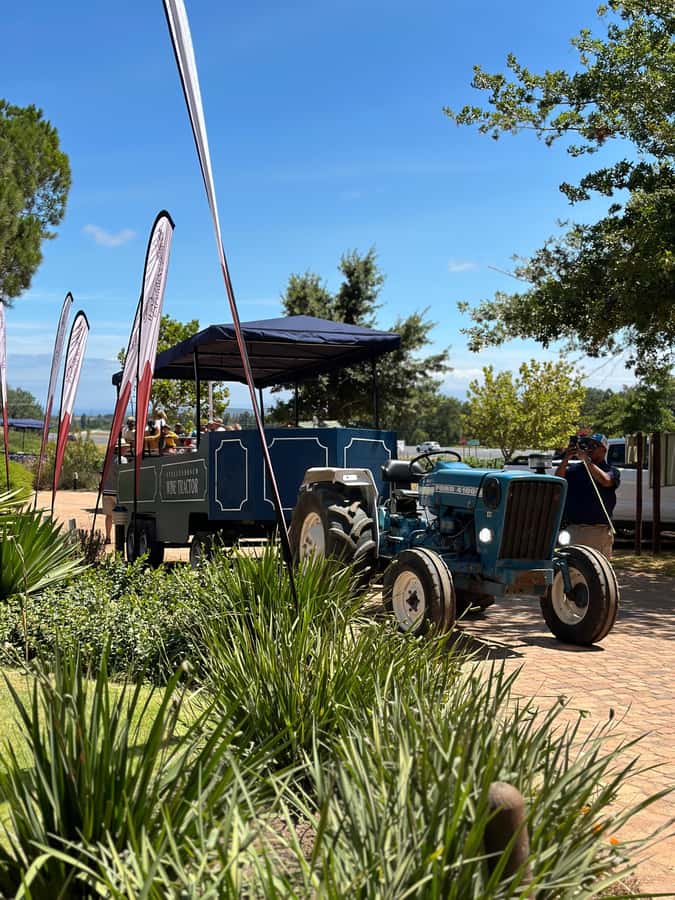 Cape Town: Stellenbosch Hop-On Hop-Off Tractor Transfer - Key points to know before you go