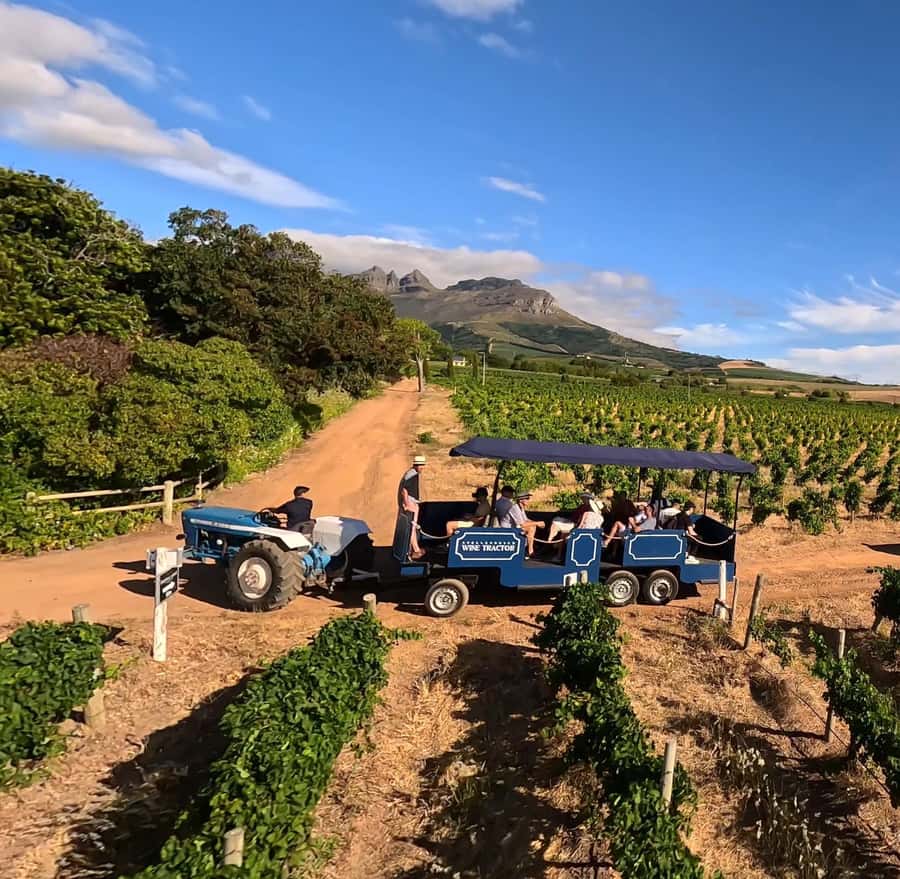 Cape Town: Stellenbosch Hop-On Hop-Off Tractor Transfer - The first tractor ride through the vineyards