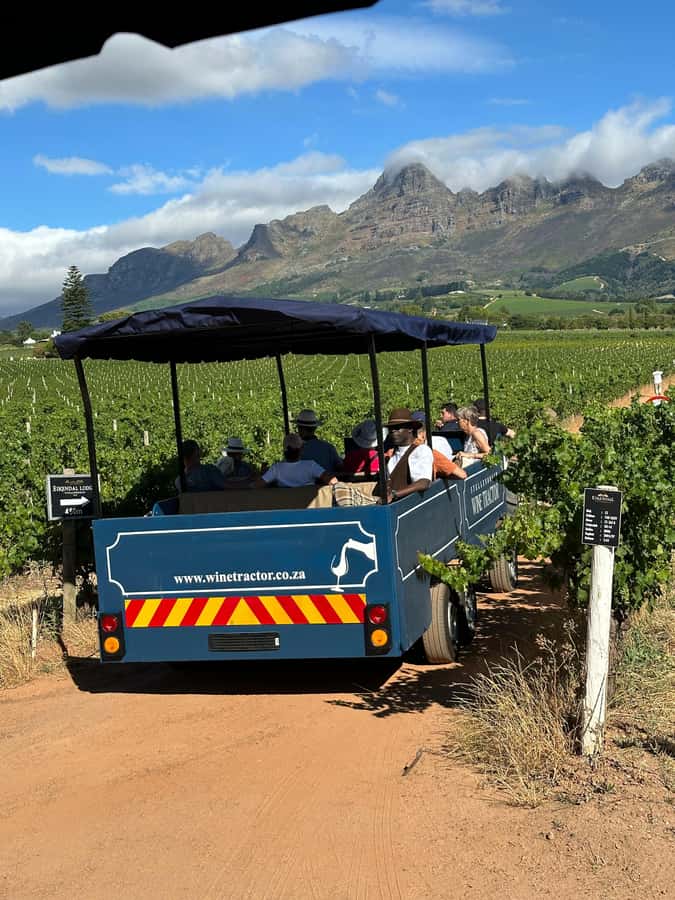 Cape Town: Stellenbosch Hop-On Hop-Off Tractor Transfer - Food, tasting vouchers, and planning your budget