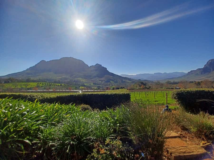 Cape Town: Stellenbosch Wine Half-Day Tour - Leaving Cape Town for Stellenbosch