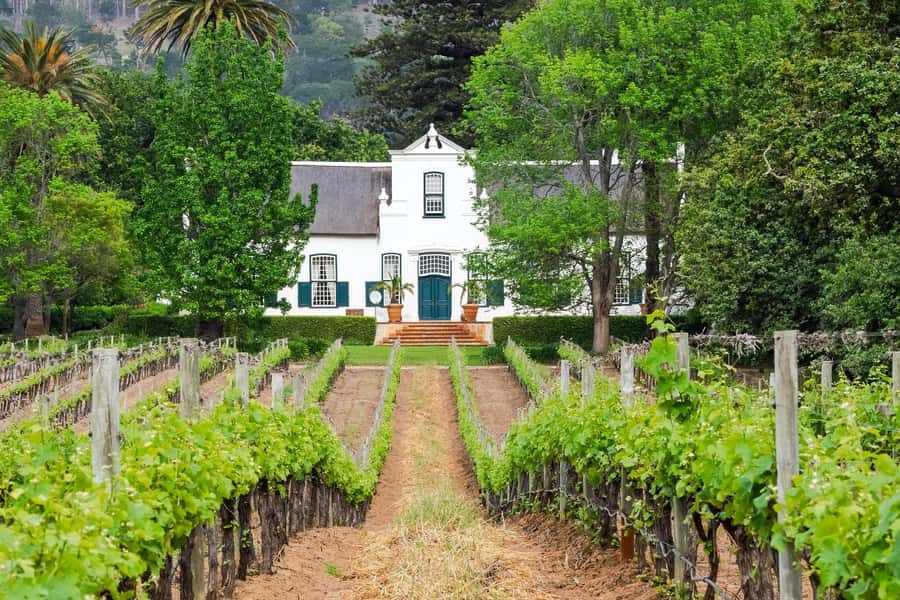 Cape Town: Stellenbosch Wine Half-Day Tour - Fairview brings cheese to the table