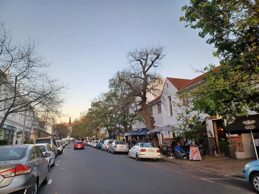 Cape Town: Stellenbosch Wine Half-Day Tour - Morning or afternoon: choosing the better fit