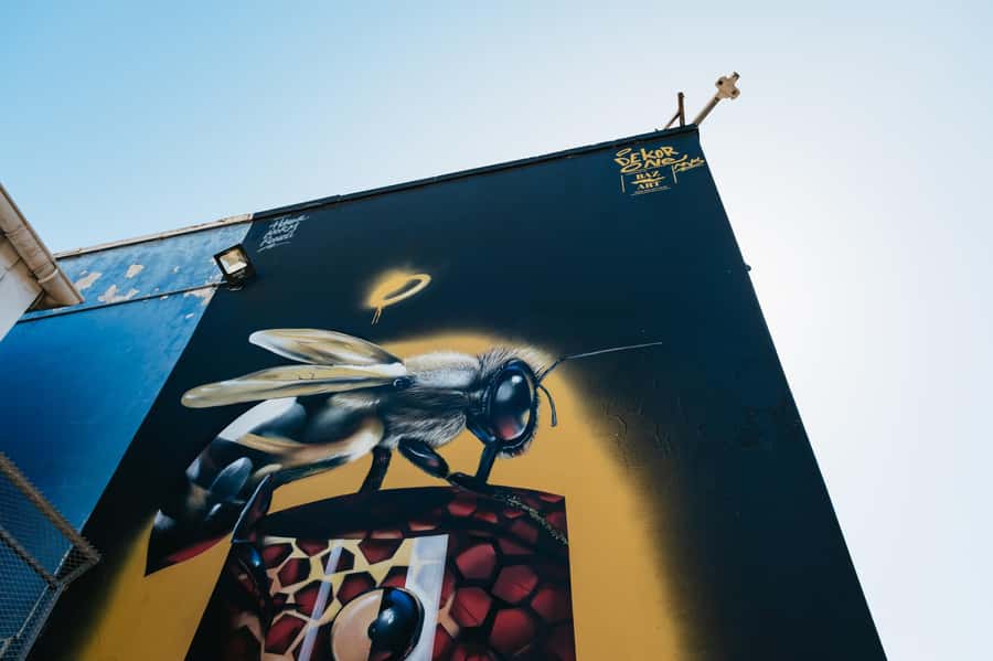 Cape Town: Street Art Walking Tour in Woodstock - What the guides add to the experience