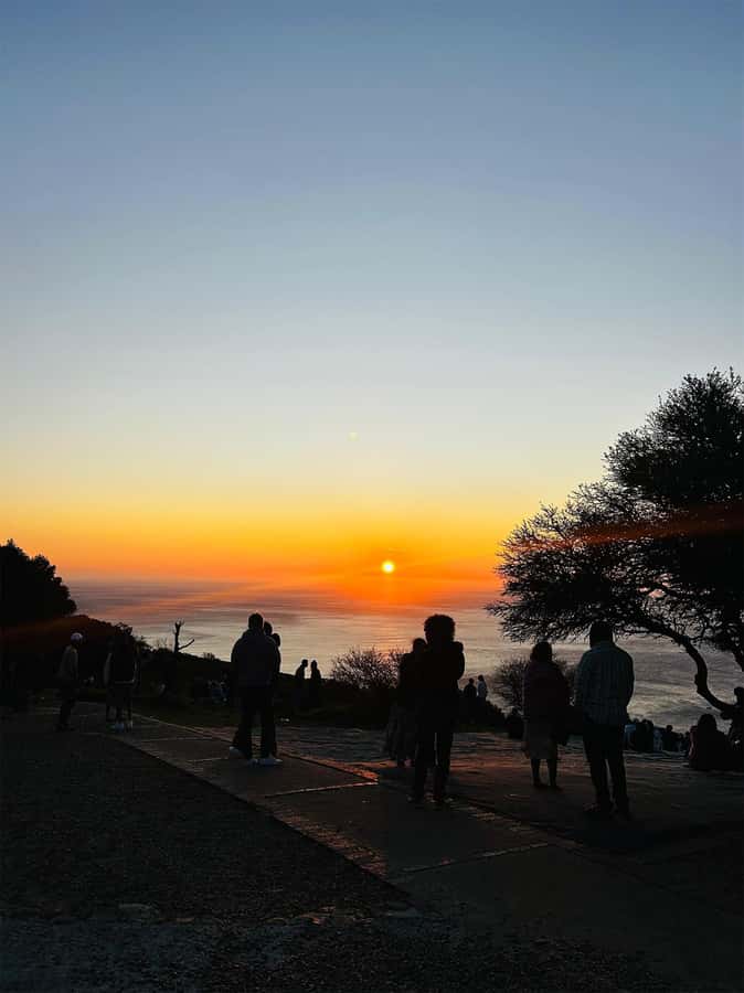 Cape Town: Sunset Bus Tour with Picnic on Signal Hill - The return to the V&A Waterfront after dark