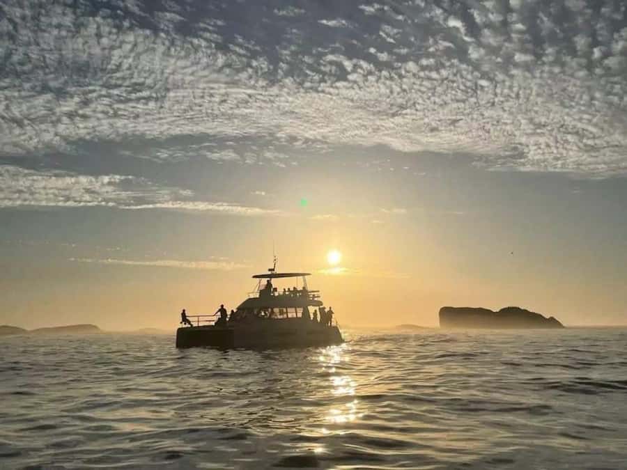 Cape Town: Sunset Champagne Cruise - The sunset hour: beautiful, brief, and weather dependent