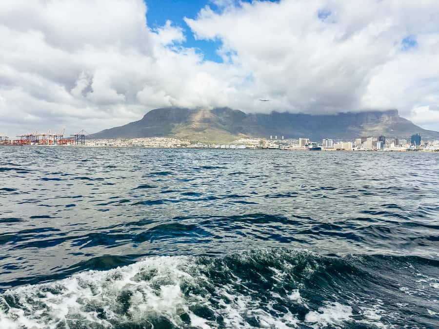 Cape Town: Sunset Champagne Cruise - Two glasses of sparkling wine and a social mood
