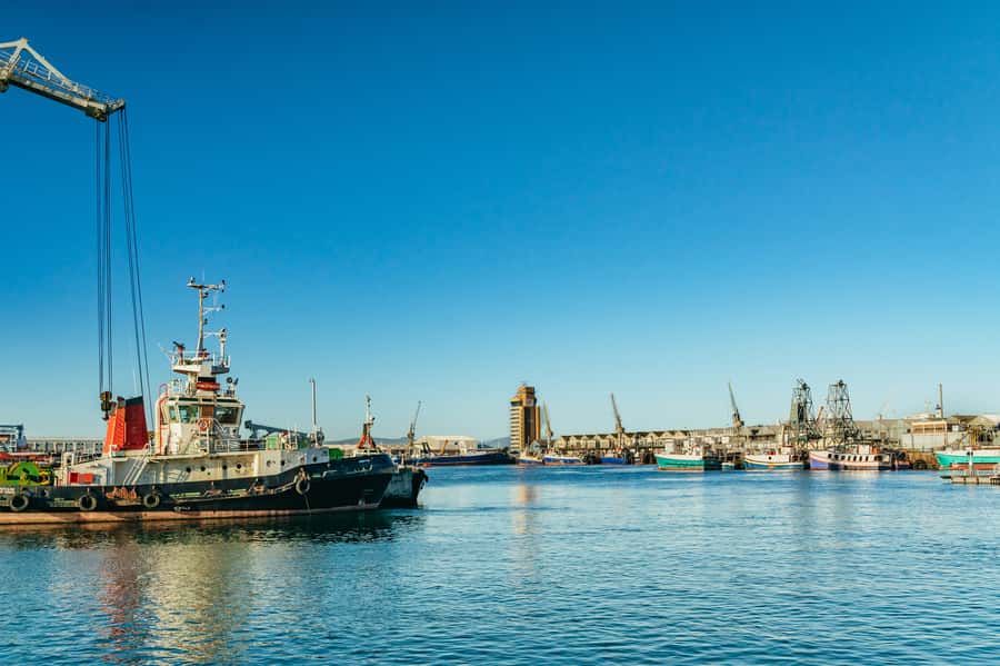 Cape Town: Sunset Champagne Cruise and 3-Course Dinner - Is the dinner worth the extra cost?