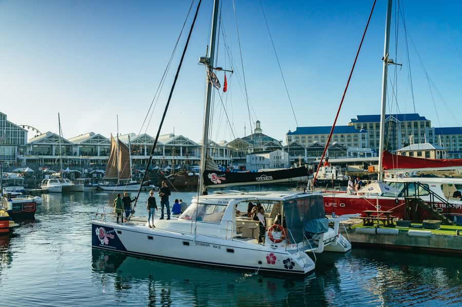 Cape Town: Sunset Champagne Cruise and 3-Course Dinner - Practical details that make the evening better