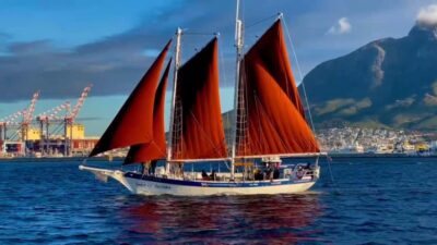 Sunset Cruise from V&A Waterfront with Bubbly