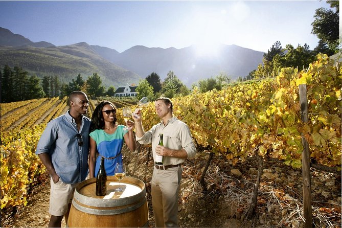 Cape Town Super Saver: Cape Point Tour plus Wine Tasting in Stellenbosch - Key points to know before booking