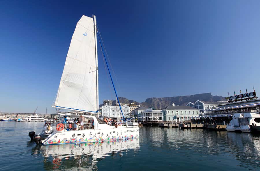 Cape Town: Table Bay Cruise by Catamaran - Key points to know before you sail