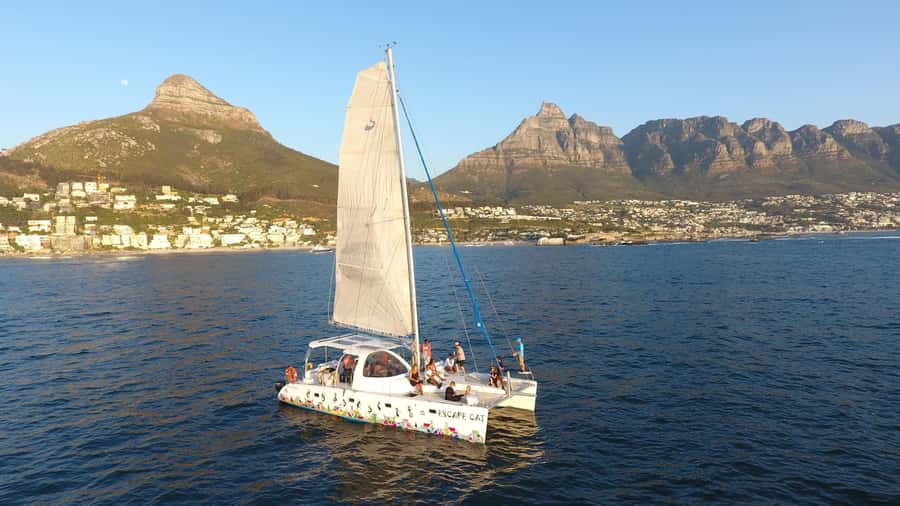 Cape Town: Table Bay Cruise by Catamaran - A short sail with a big Table Mountain view