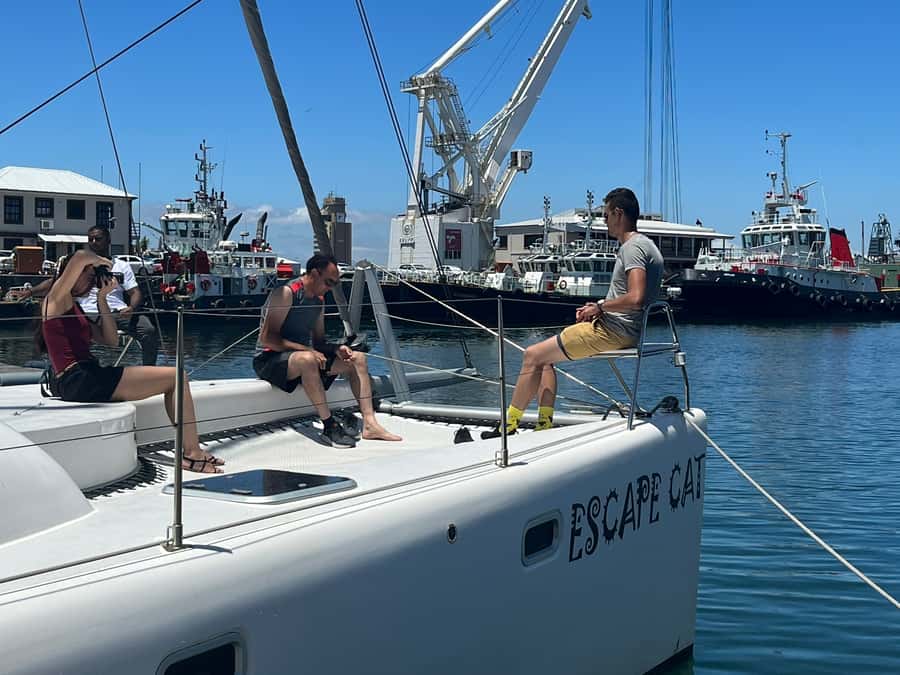 Cape Town: Table Bay Cruise by Catamaran - The crew adds more than basic boat handling