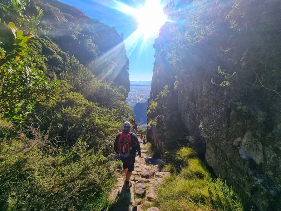 Cape Town: Table Mountain Abseil and Hike - Reaching the summit and meeting the abseil team
