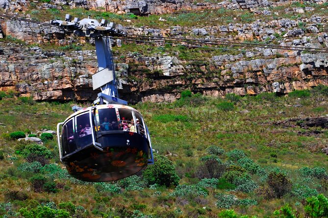 Cape Town Table Mountain and Peninsula Tour - Key points to know before booking